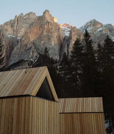 Forest Cabin - The Two Bohemians Copyright