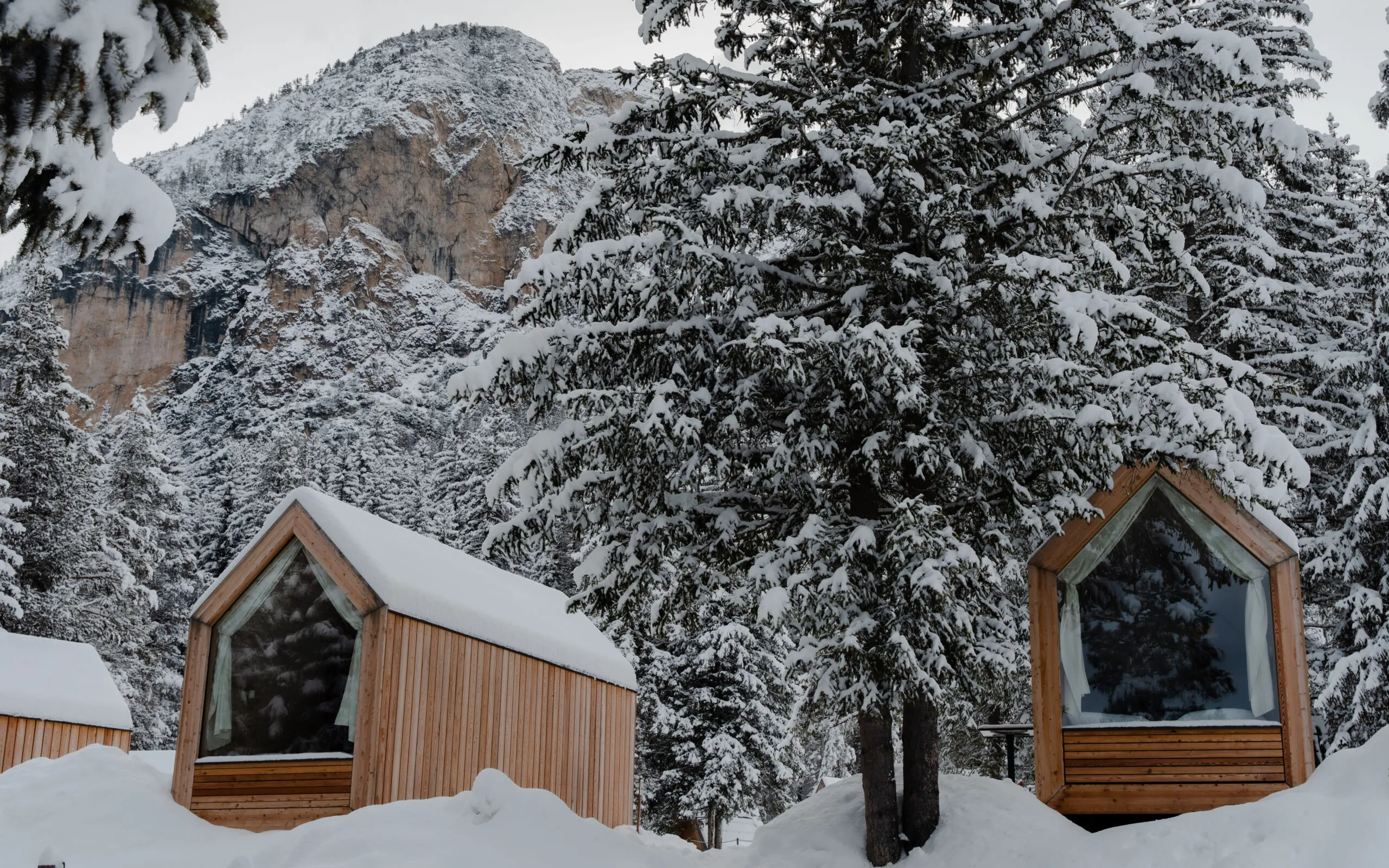 Forest Cabin Winter 1