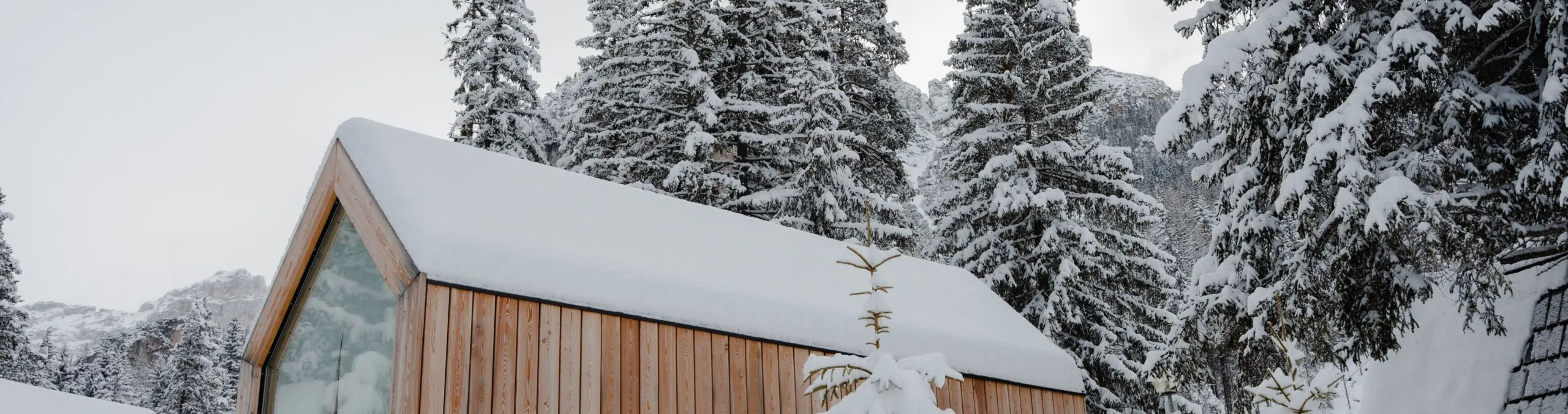 Forest Cabin Winter 2