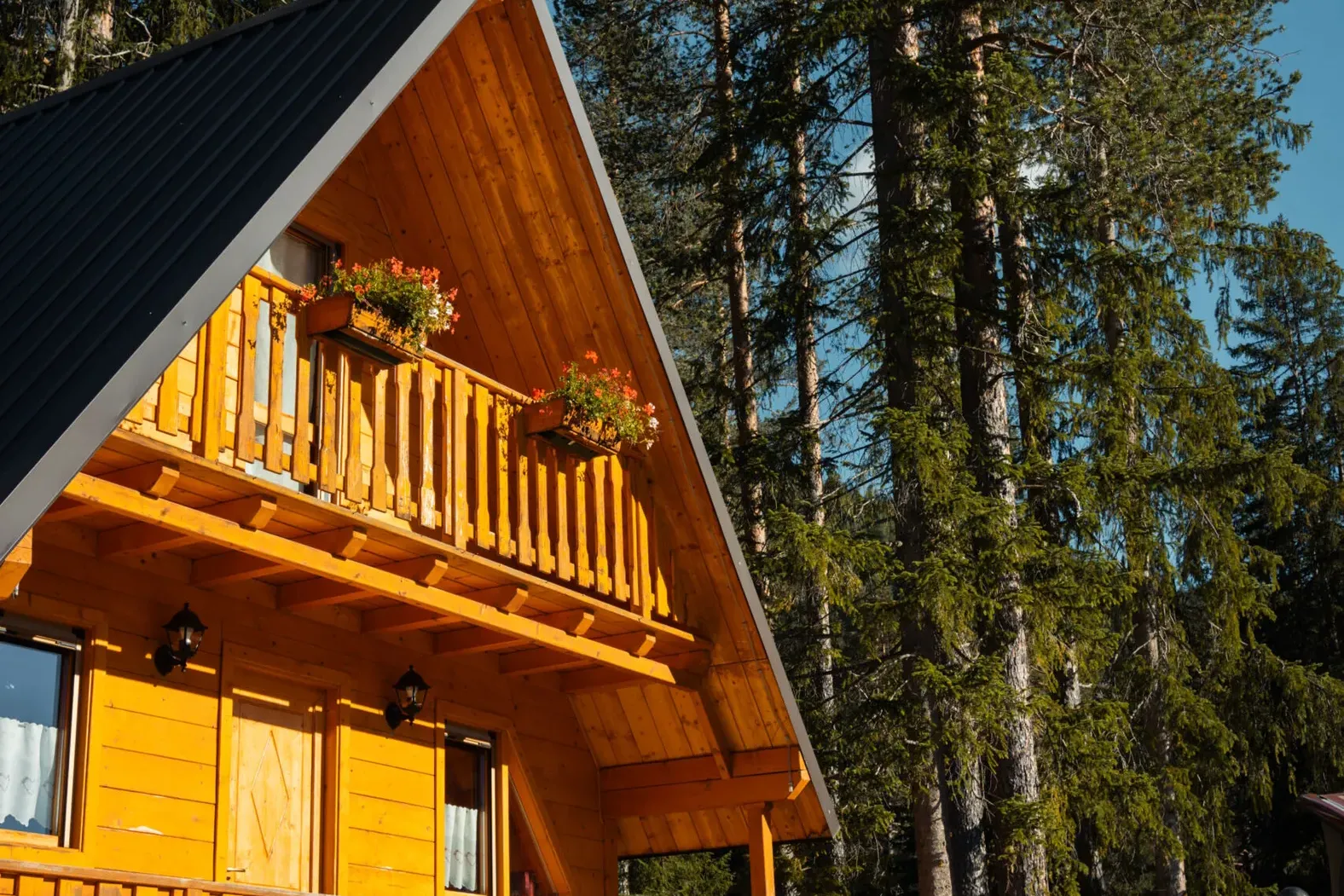 Lodge in summer