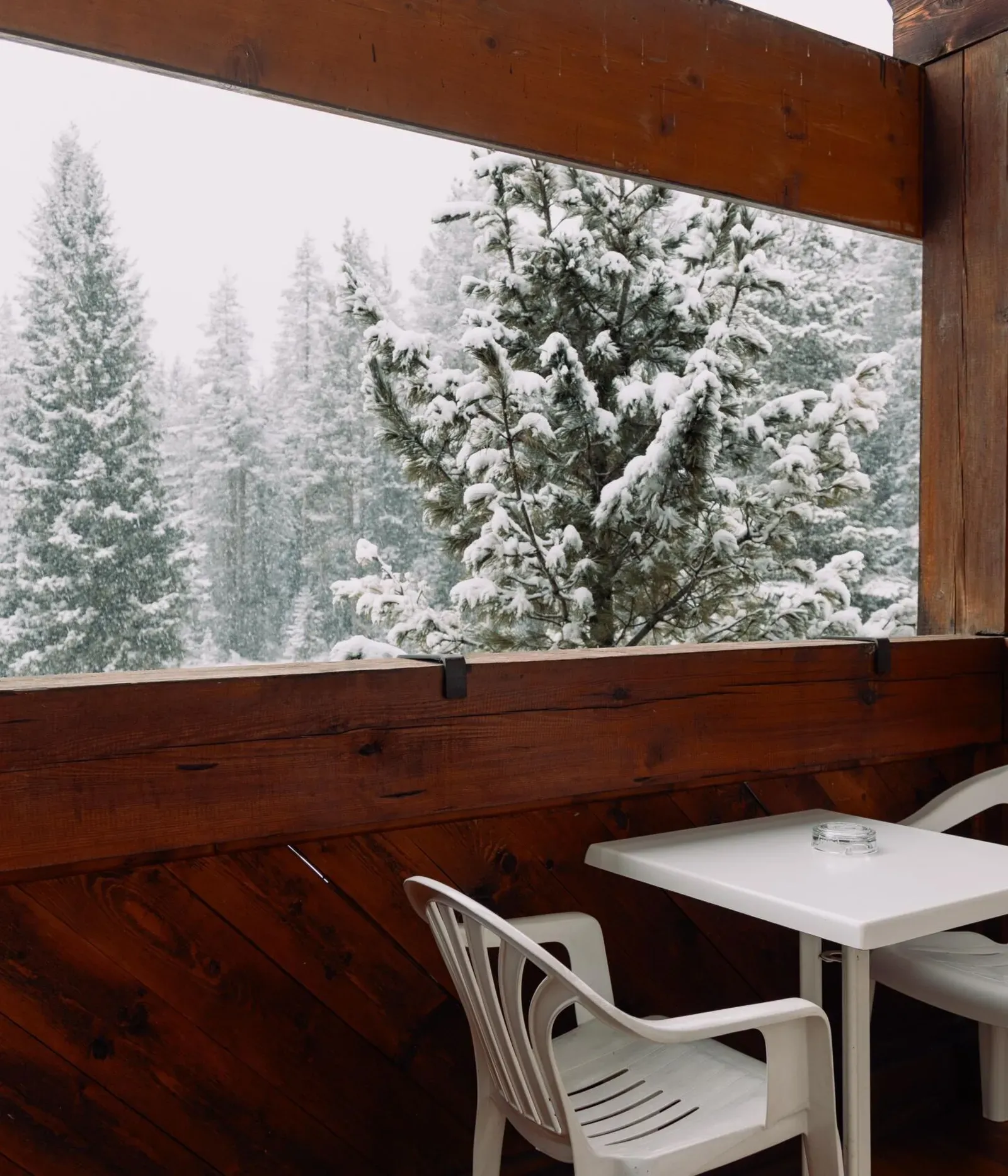 ALICESUTTONPHOTOGRAPHY 5324 transformed