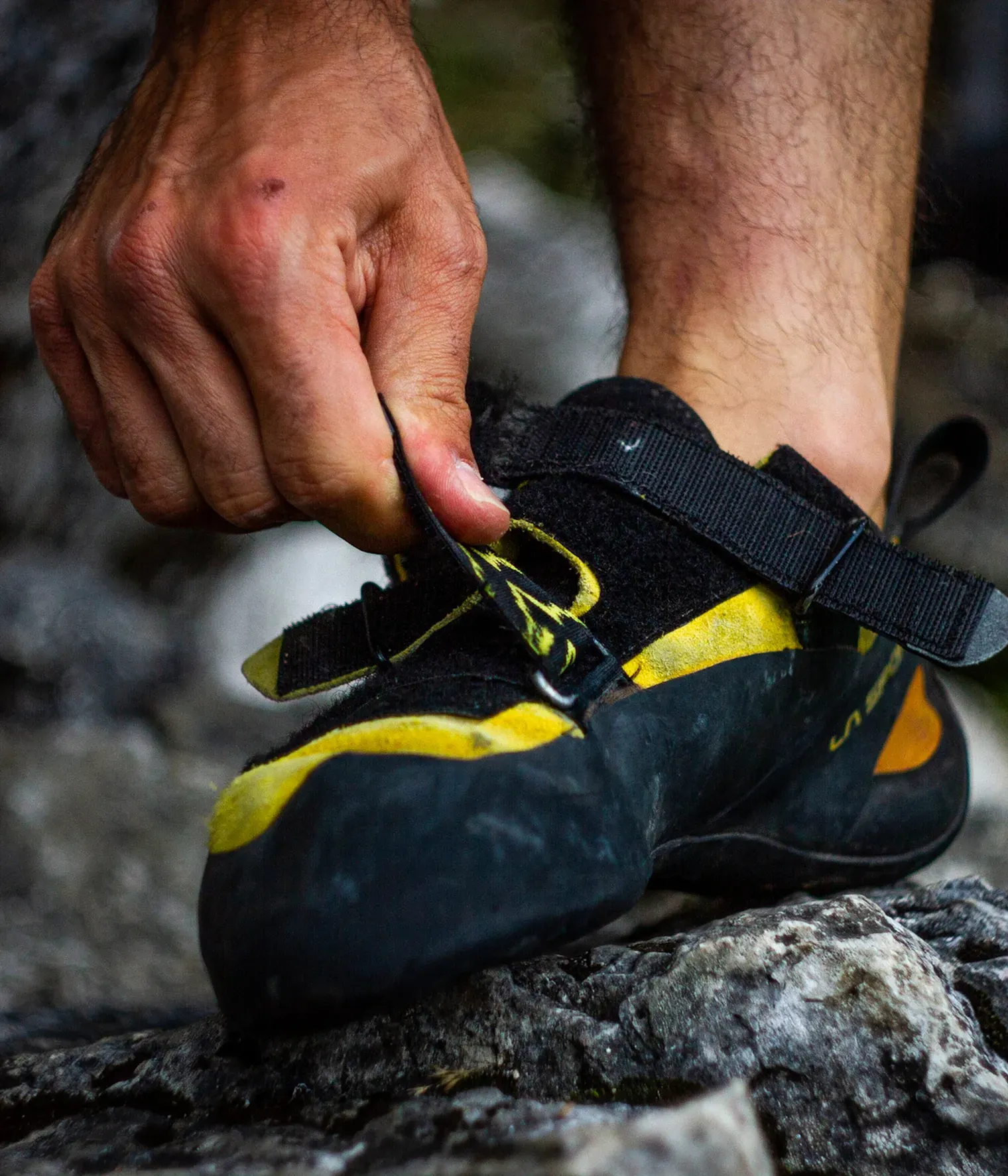 Climbing shoes