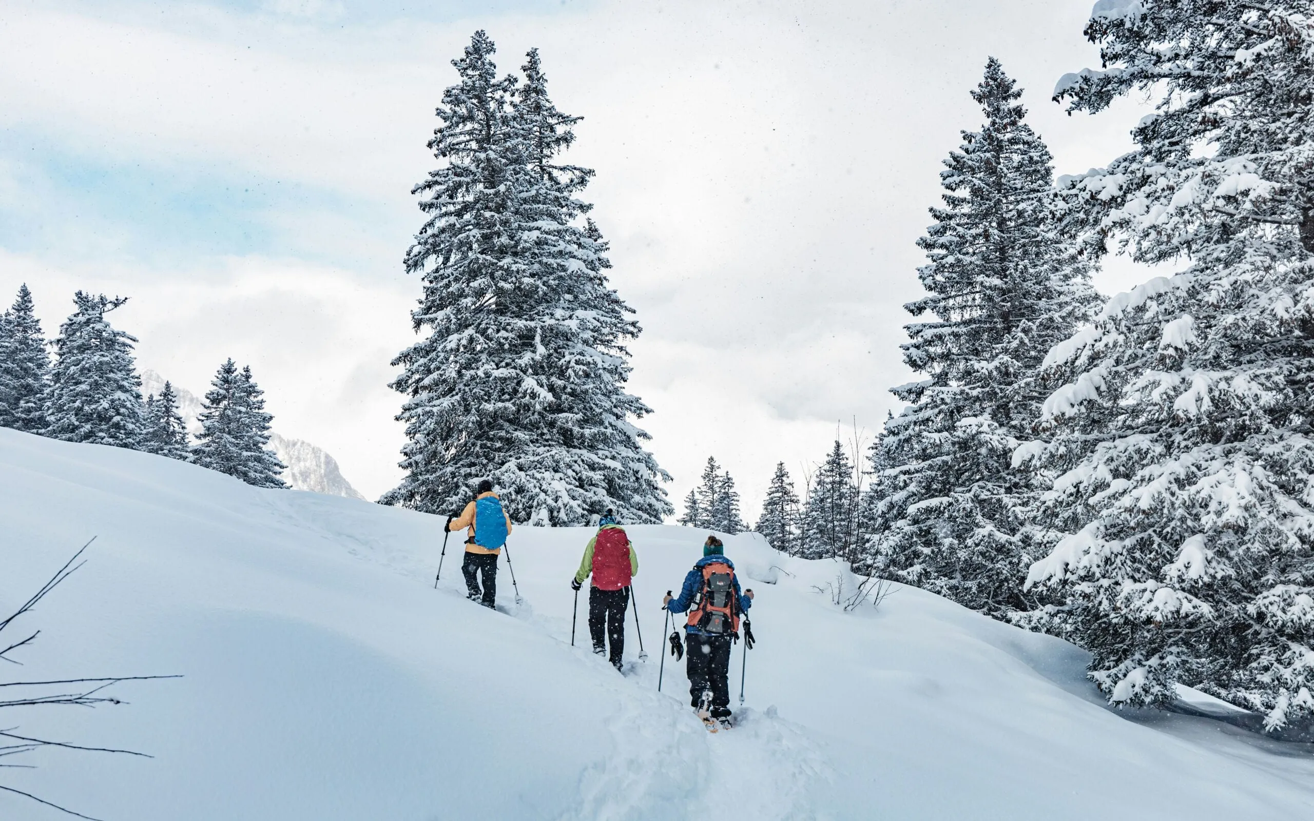 Ciaspole - David cerini unsplash