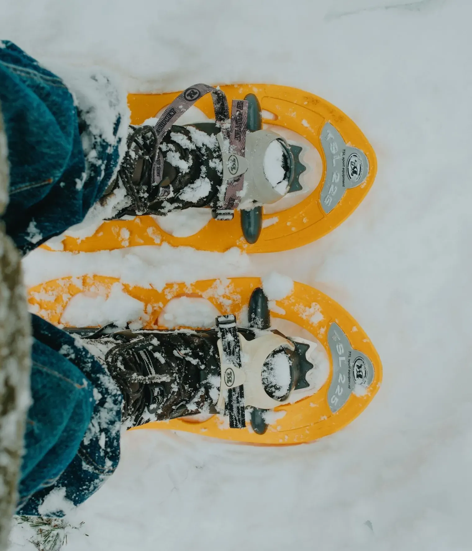 ALICESUTTONPHOTOGRAPHY 0984