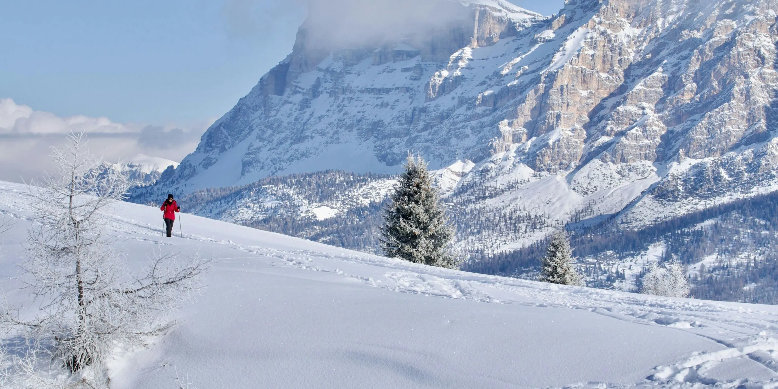 Pexels audio visual art 10778240