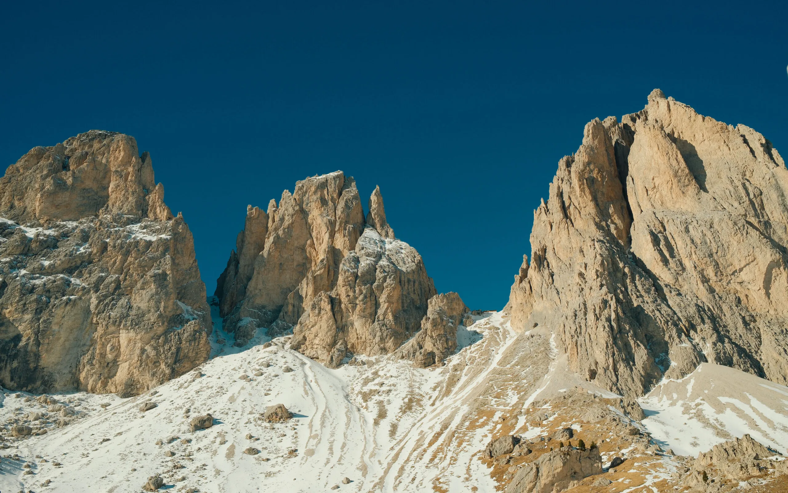 ALICESUTTONPHOTOGRAPHY 0919