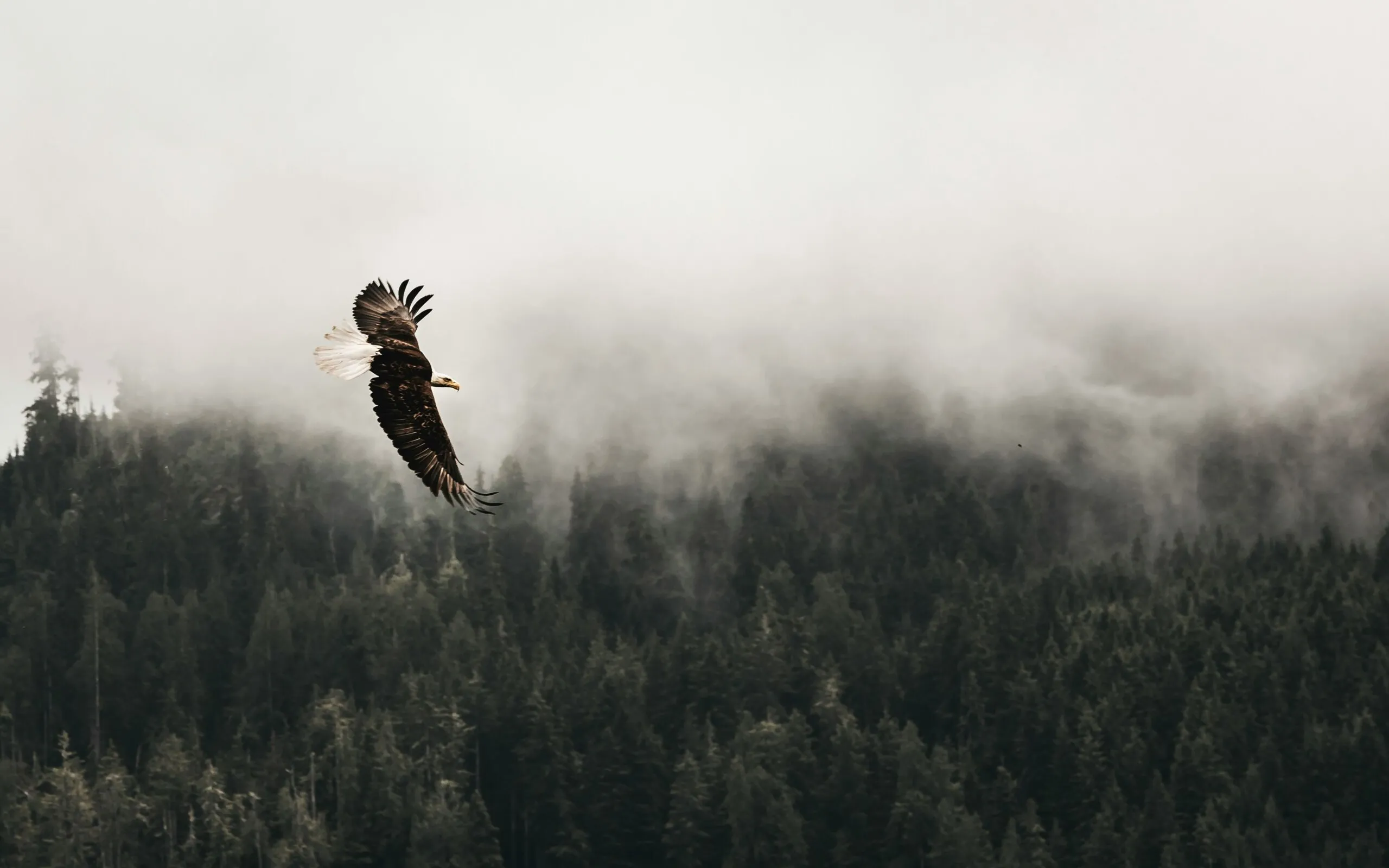 Kea mowat f M2a Oezz Eo Q unsplash