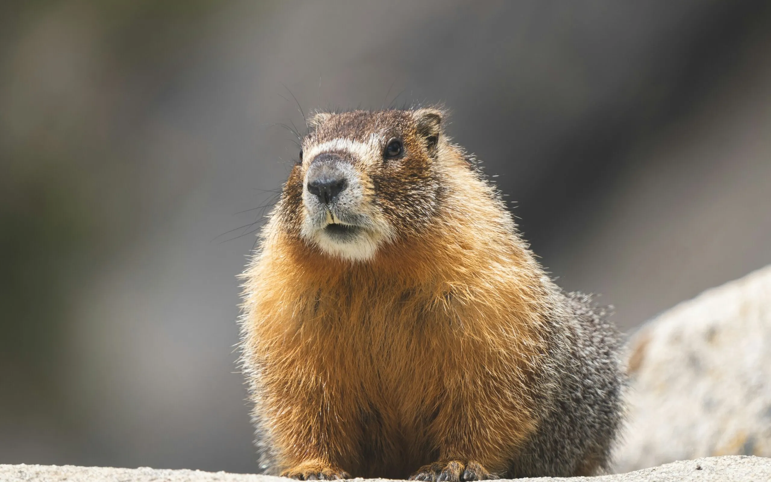 Y s Wm U Fe OKW Jeo unsplash