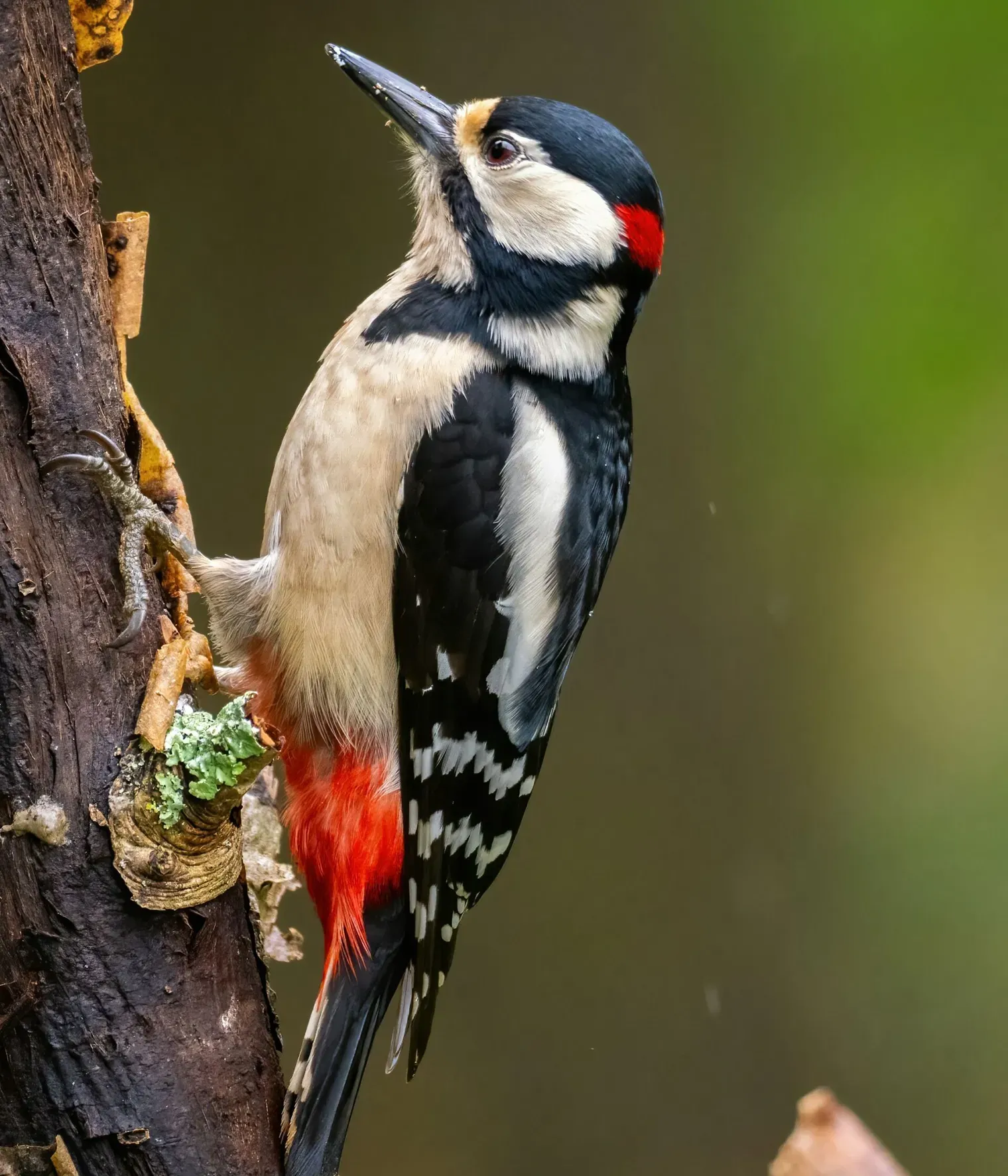 Doncoombez 1 Sb V Qub Ty I unsplash