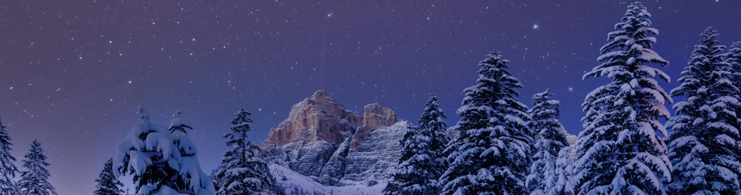 Matthis Crepaz Copyright 20