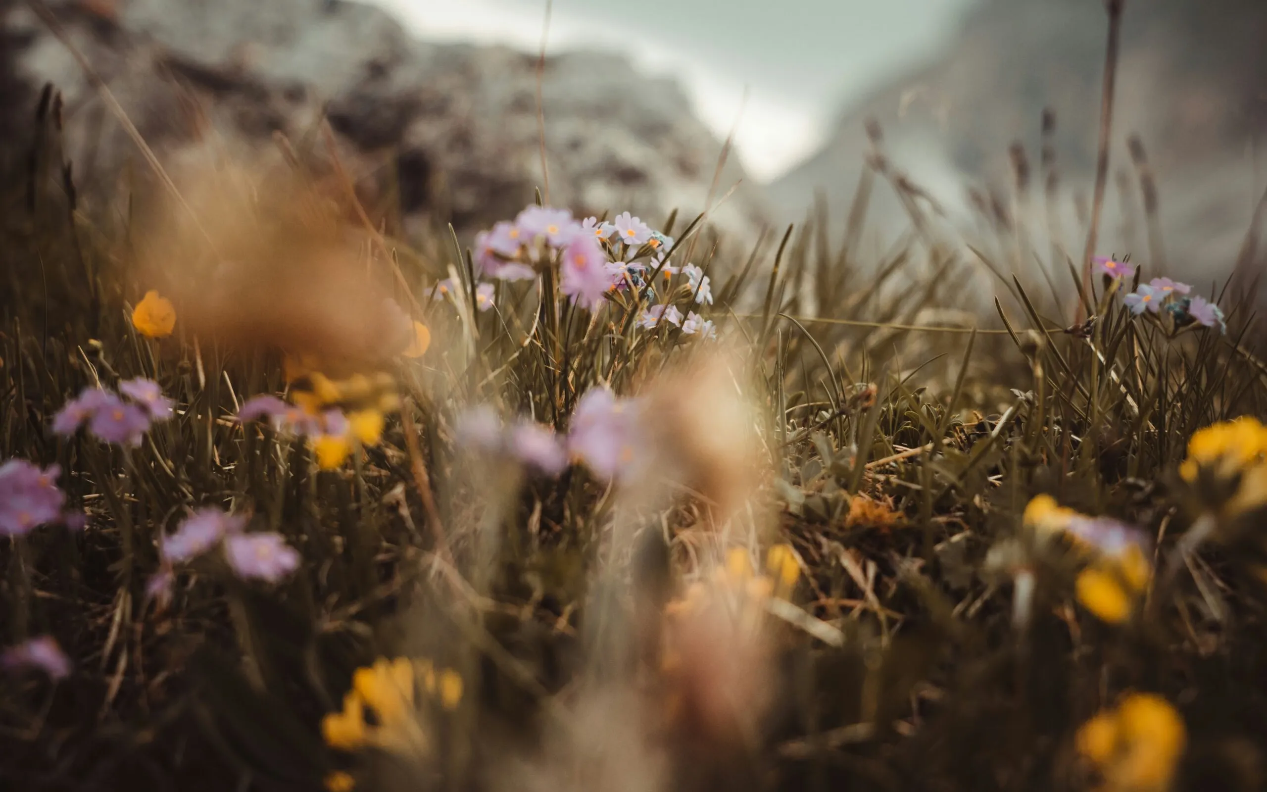 Melina kiefer i B Yj SYTU47 U unsplash