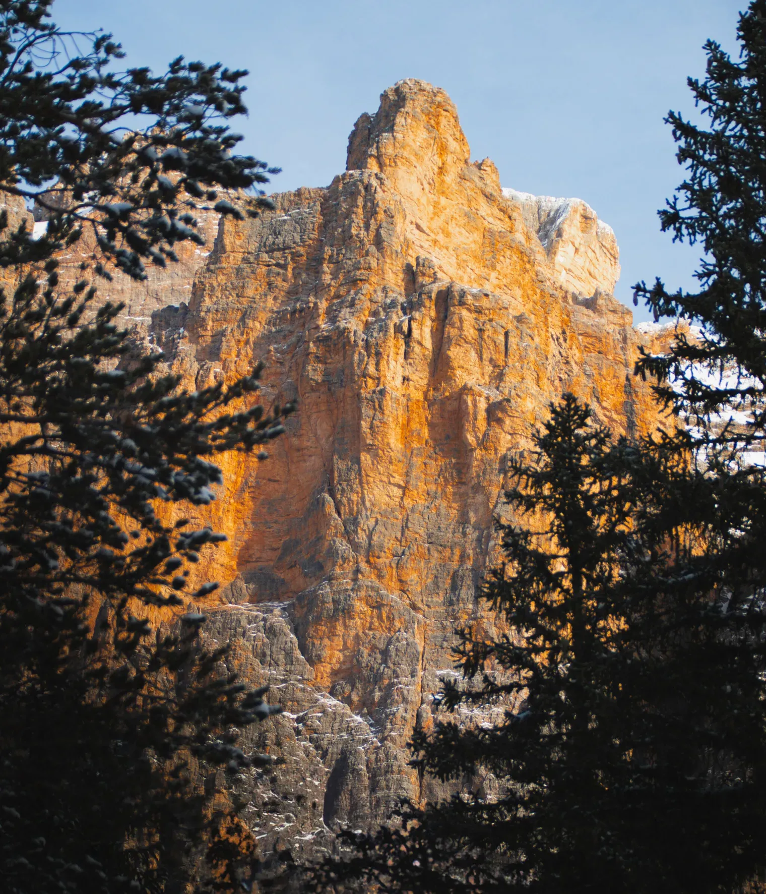 Giulia Chiariotto 27