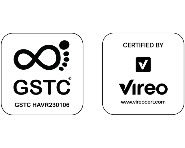 Nuovo logo Vireo GTSC CSD