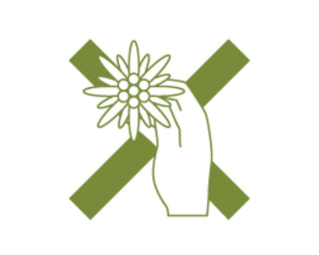 Icona parchi naturali 7