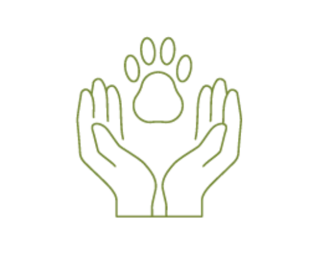 Icona parchi naturali 11