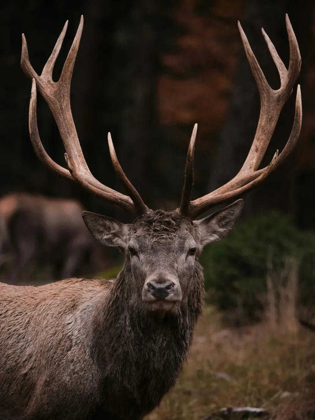 Tim schmidbauer Aj X1v o XP 4 unsplash